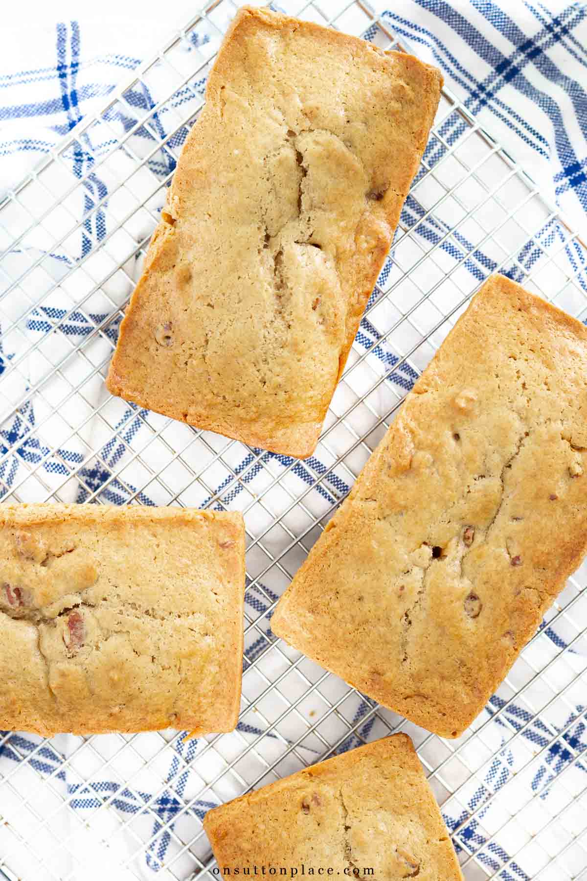 small loaves of pecan bread