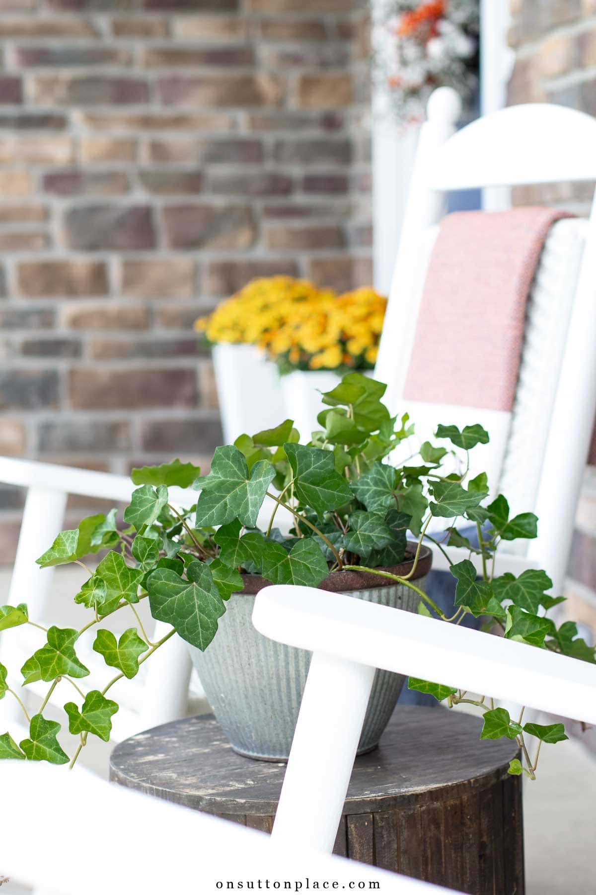 fall porch decor ideas mums in white planters-1