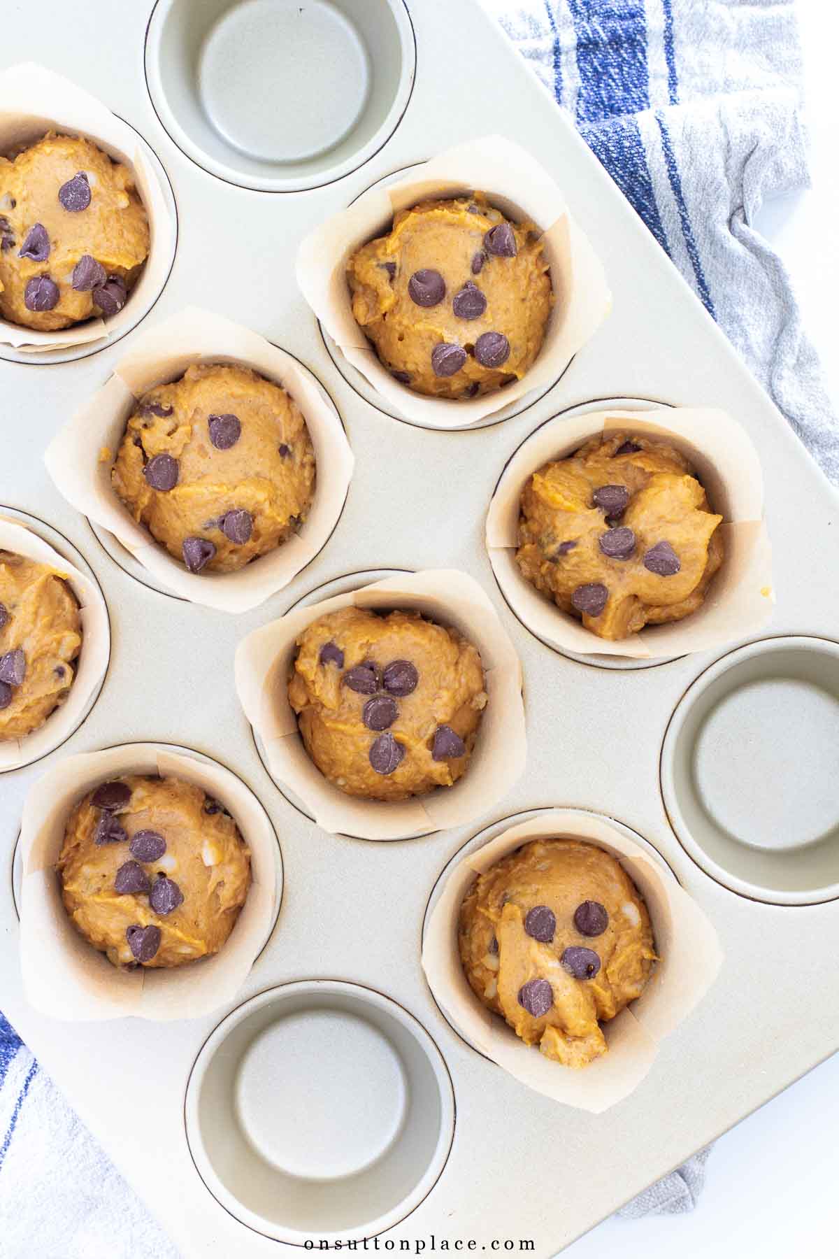 pumpkin chocolate chip muffins in tulip paper liners ready to go in oven