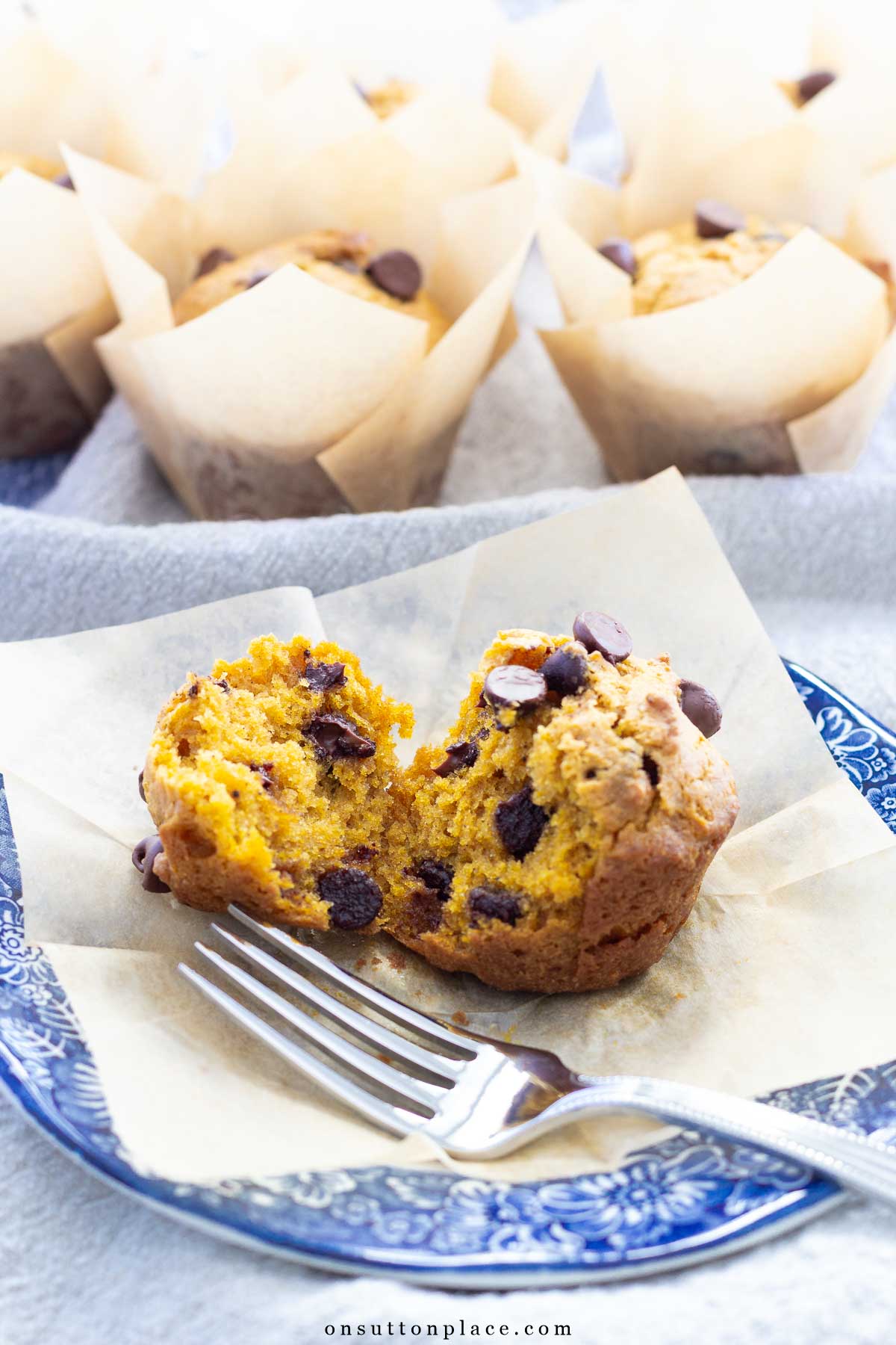 pumpkin chocolate chip muffins one broken on blue and white plate with muffins in background