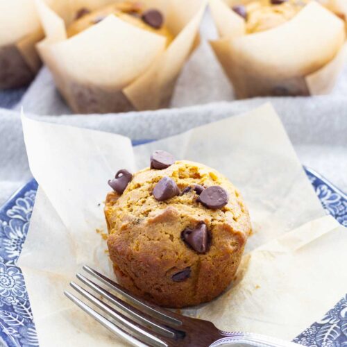 pumpkin chocolate chip muffins one whole on blue and white plate with muffins in background
