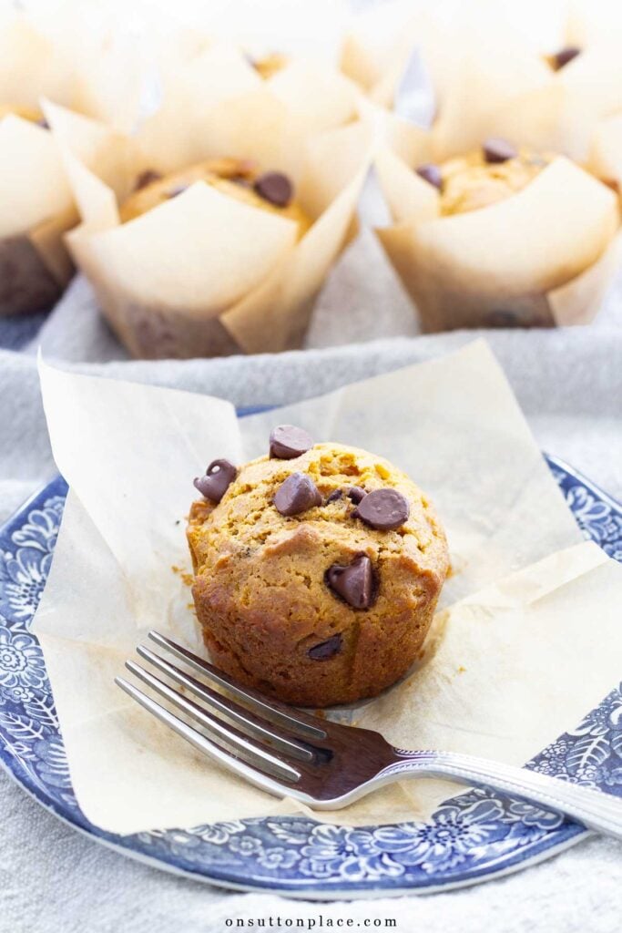 pumpkin chocolate chip muffins one whole on blue and white plate with muffins in background