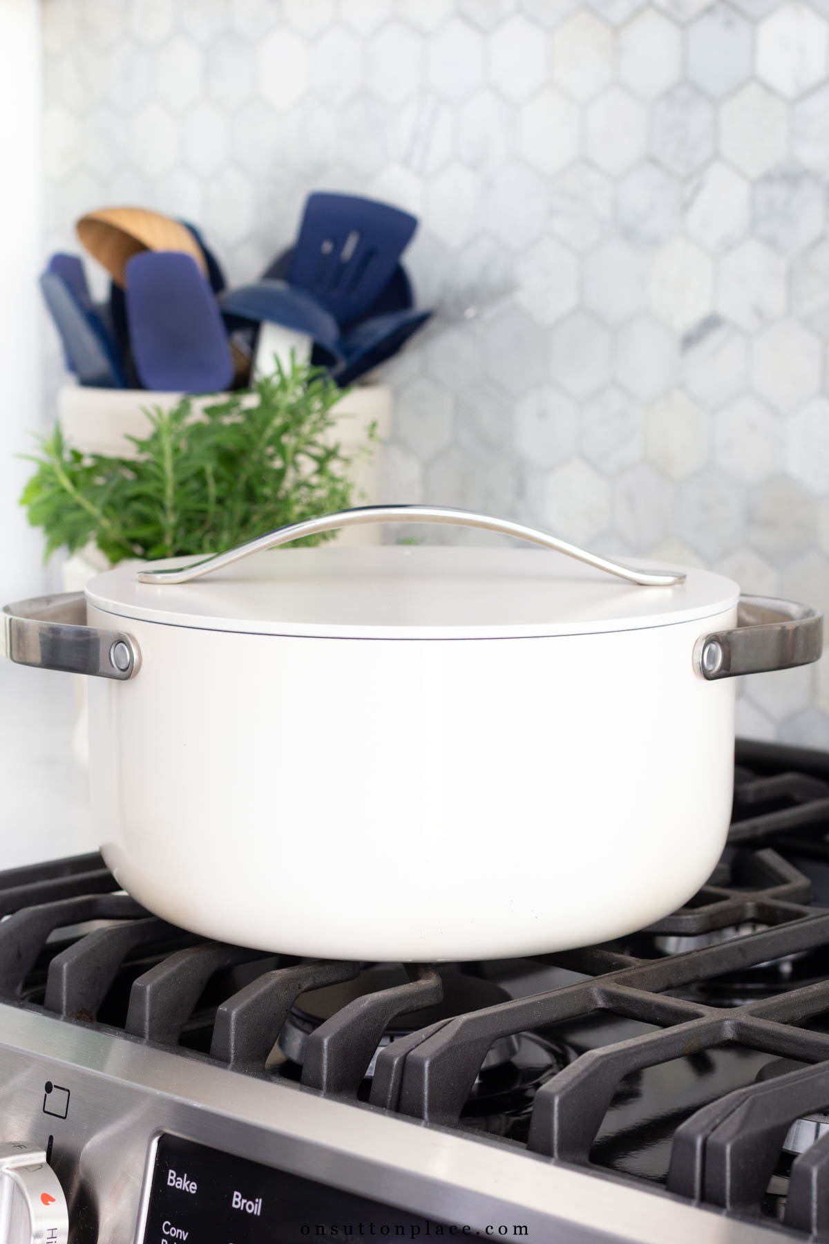 Caraway dutch oven kitchen essentials collection