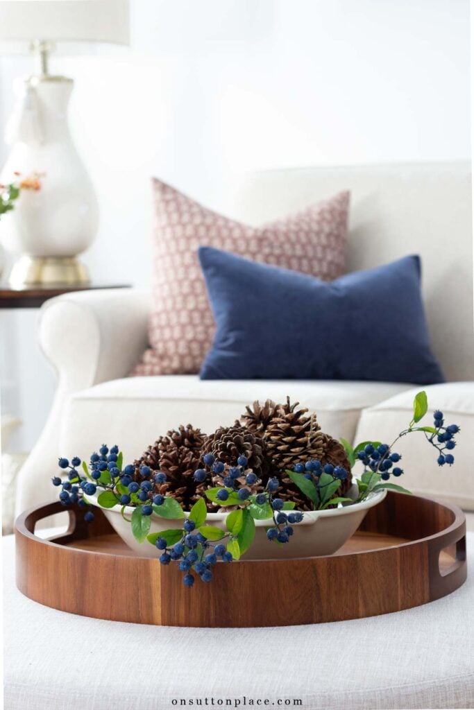 simple living in autumn pinecones in bowl with berries