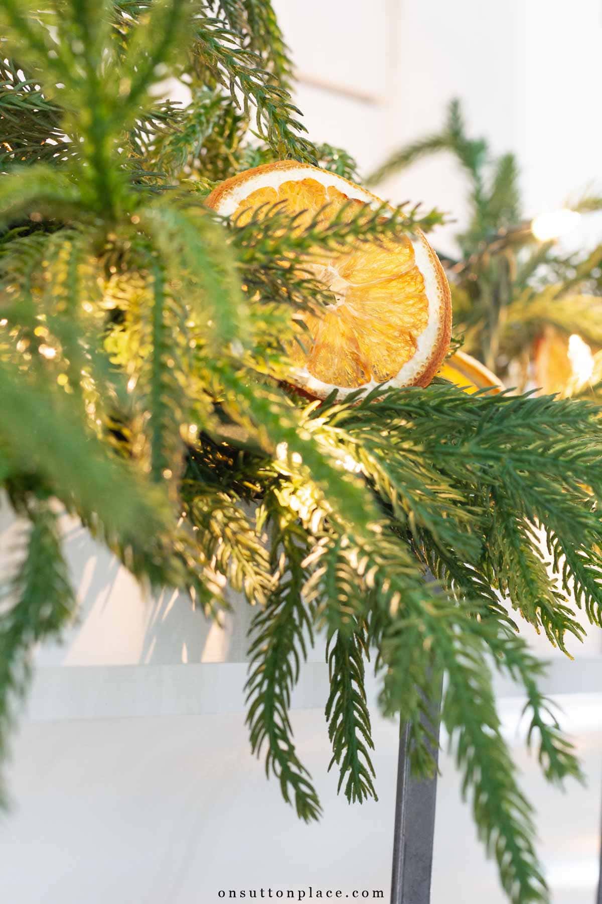 Christmas decor dried oranges in Norfolk pine garland