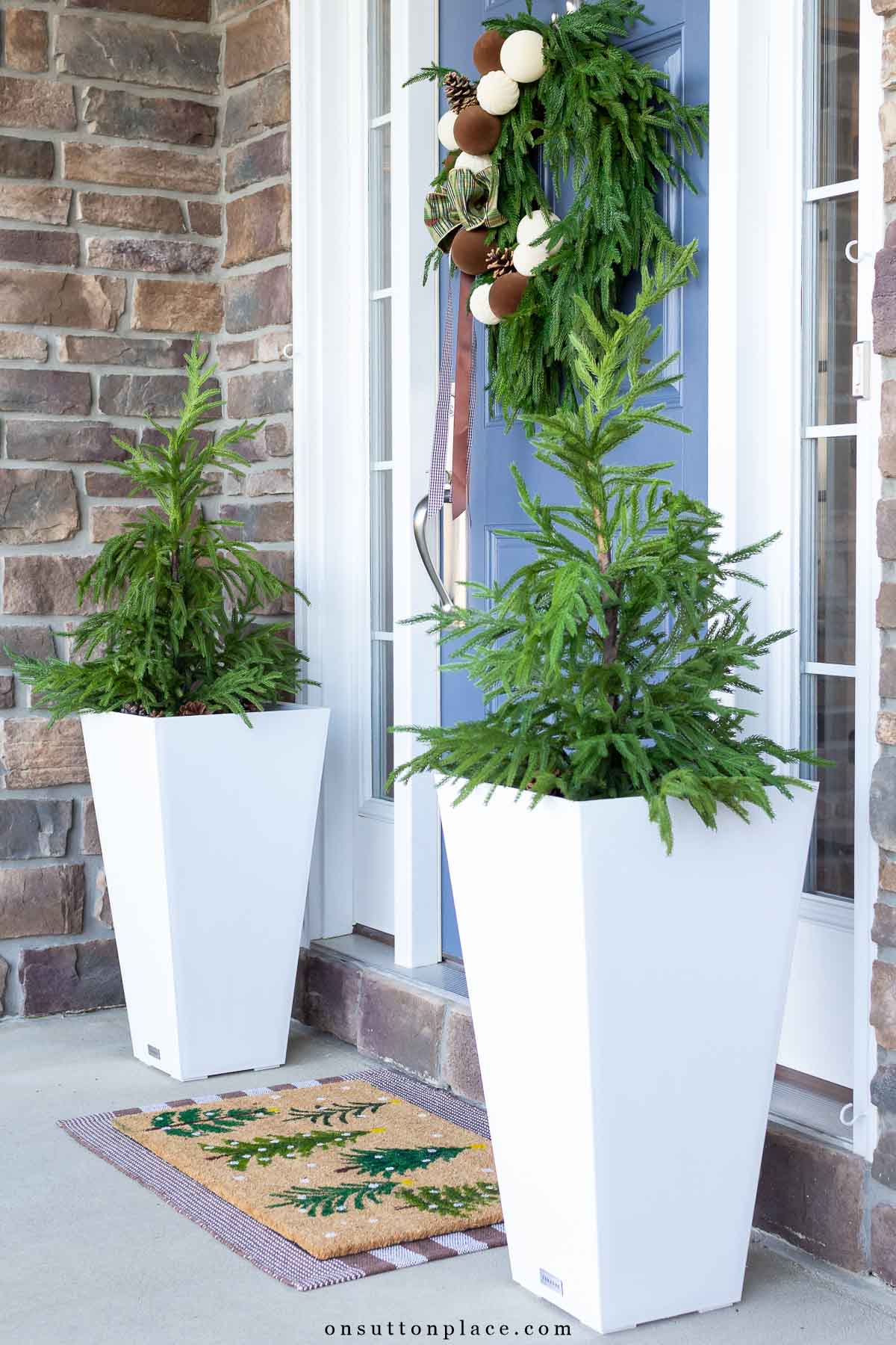 Christmas porch with white planters blue front door Norfolk pine greenery
