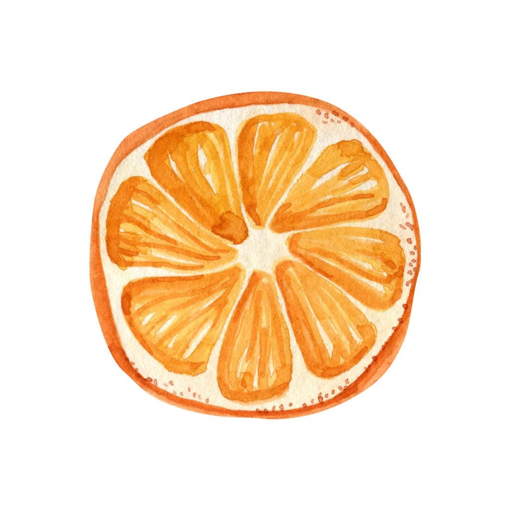 dried orange slice element