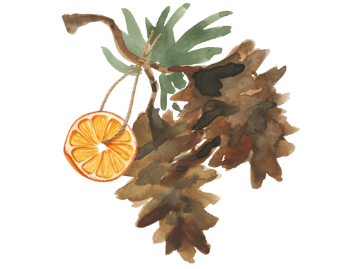 pinecone and orange slice element