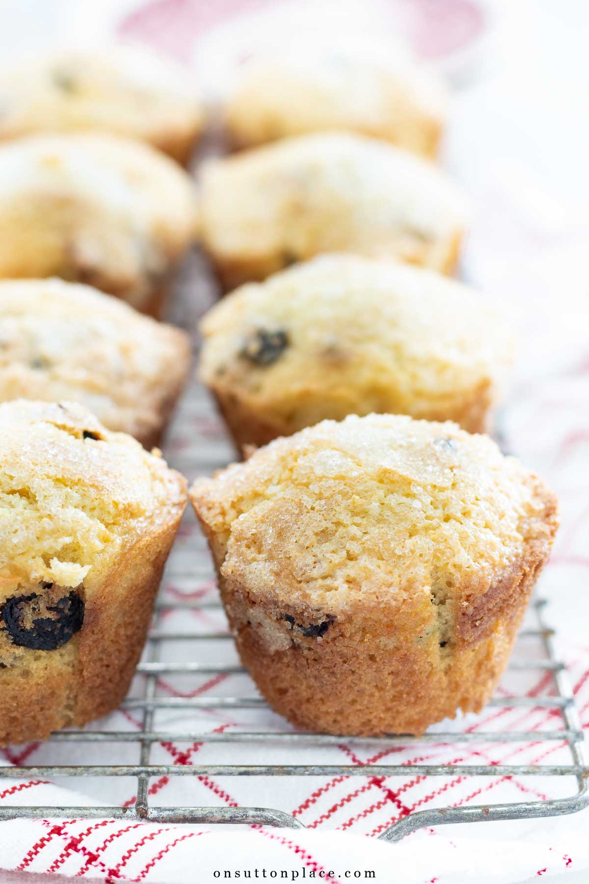 cherry muffin recipe baked sitting on cooling rack