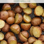 the best roasted potatoes tall pin