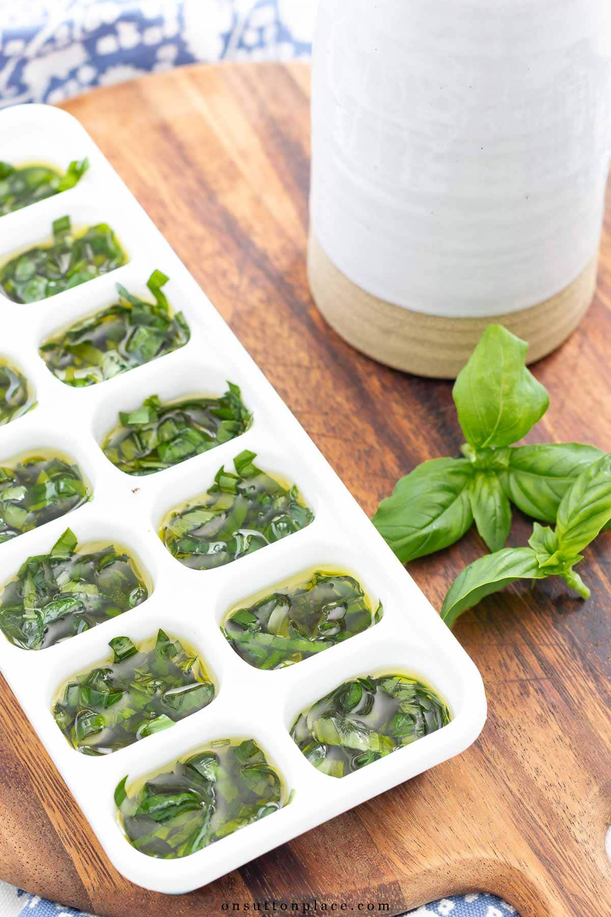how to freeze basil in olive oil steps