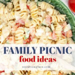 family picnic food ideas