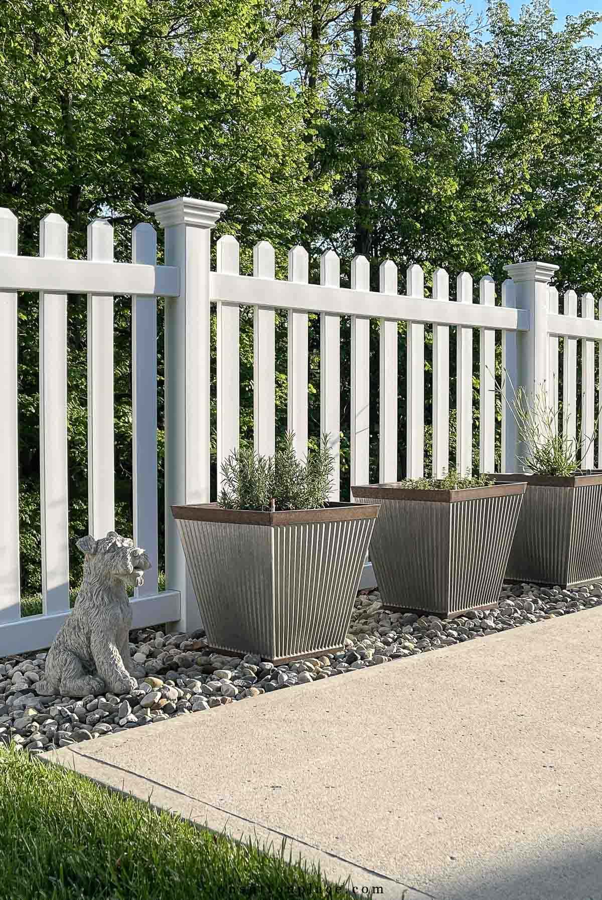 herbs in planters in front of white picket fence