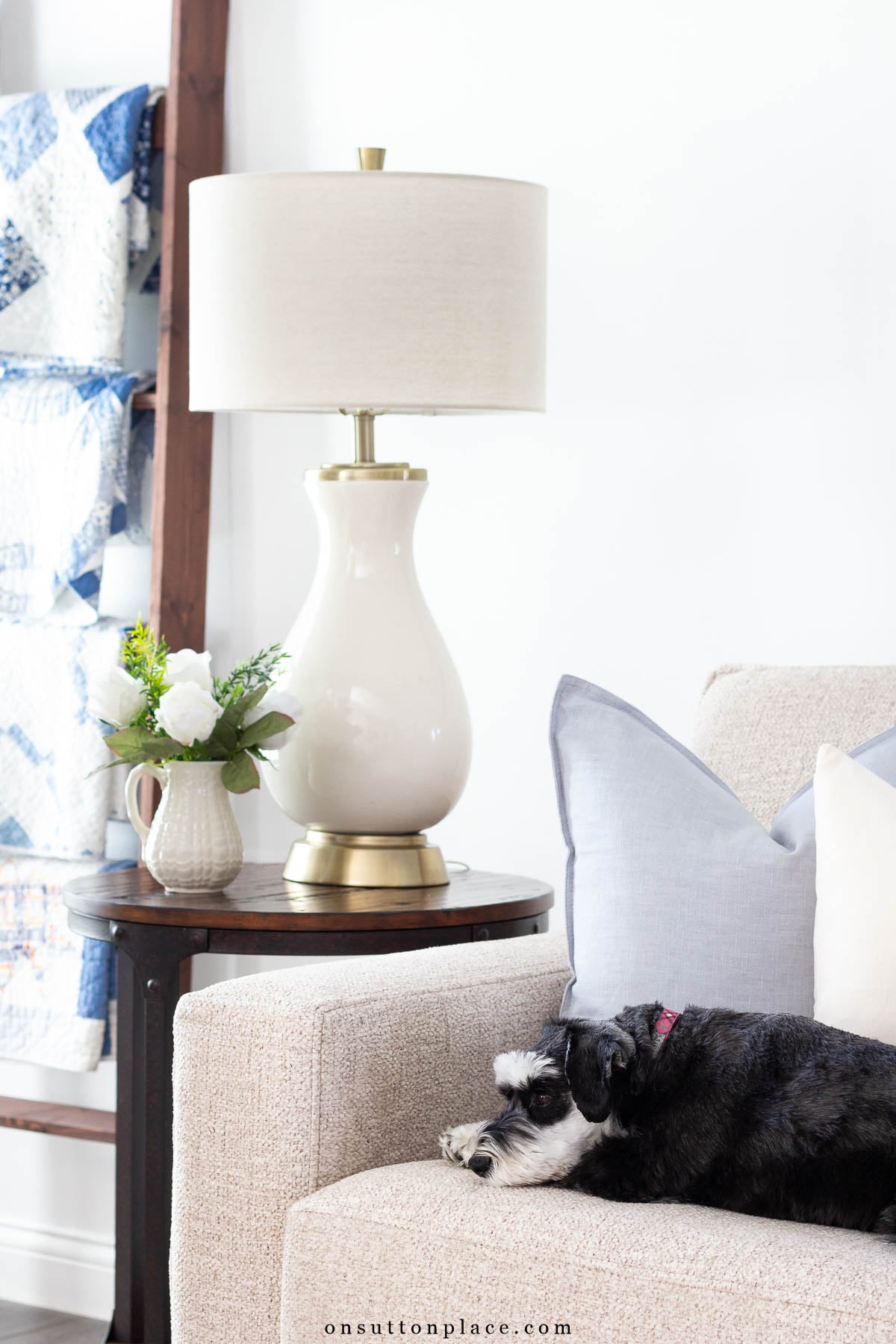 miniature schnauzer on sofa in summer living room