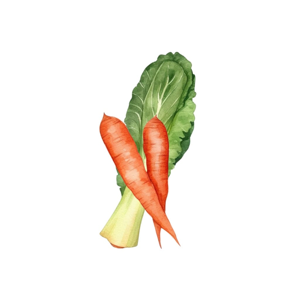 salad recipes trending block element