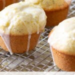 lemon poppy seed muffins with glaze tall pin