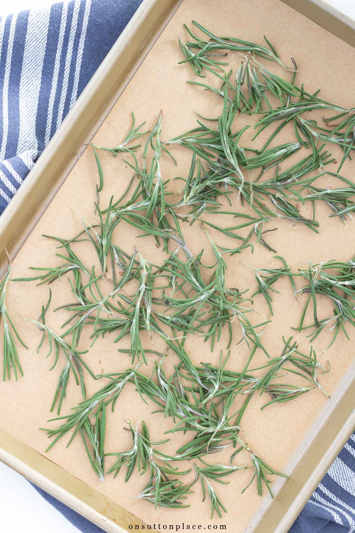 rosemary leaves on baking sheet