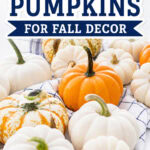 how to preserve pumpkins for fall decor AI pin