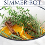 a simple fall simmer pot tall pin
