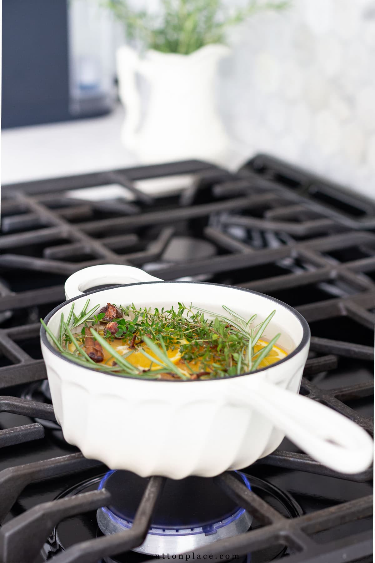 stovetop potpourri in pan with handle on gas stove