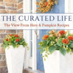 the curated life the view from here pumpkin recipes ai pin watercolor